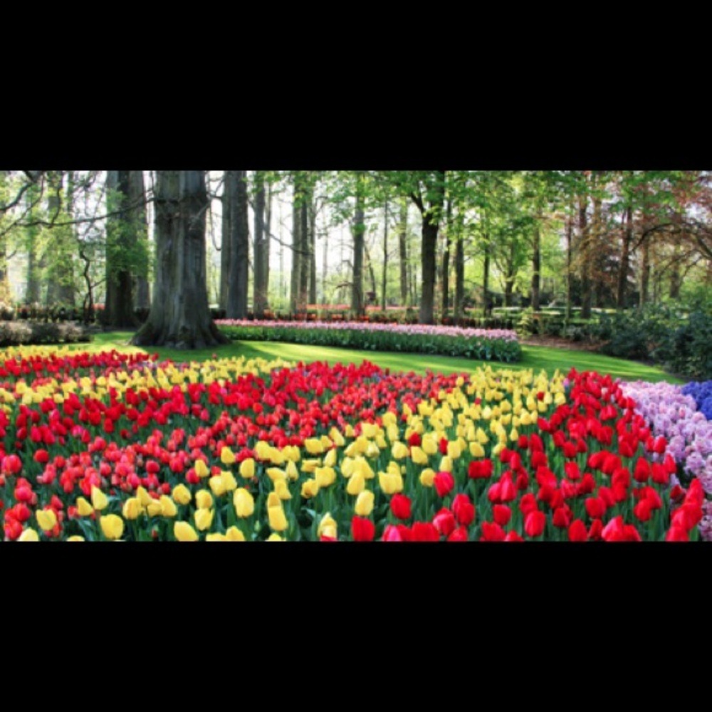 Meet your Posher, Tabitha